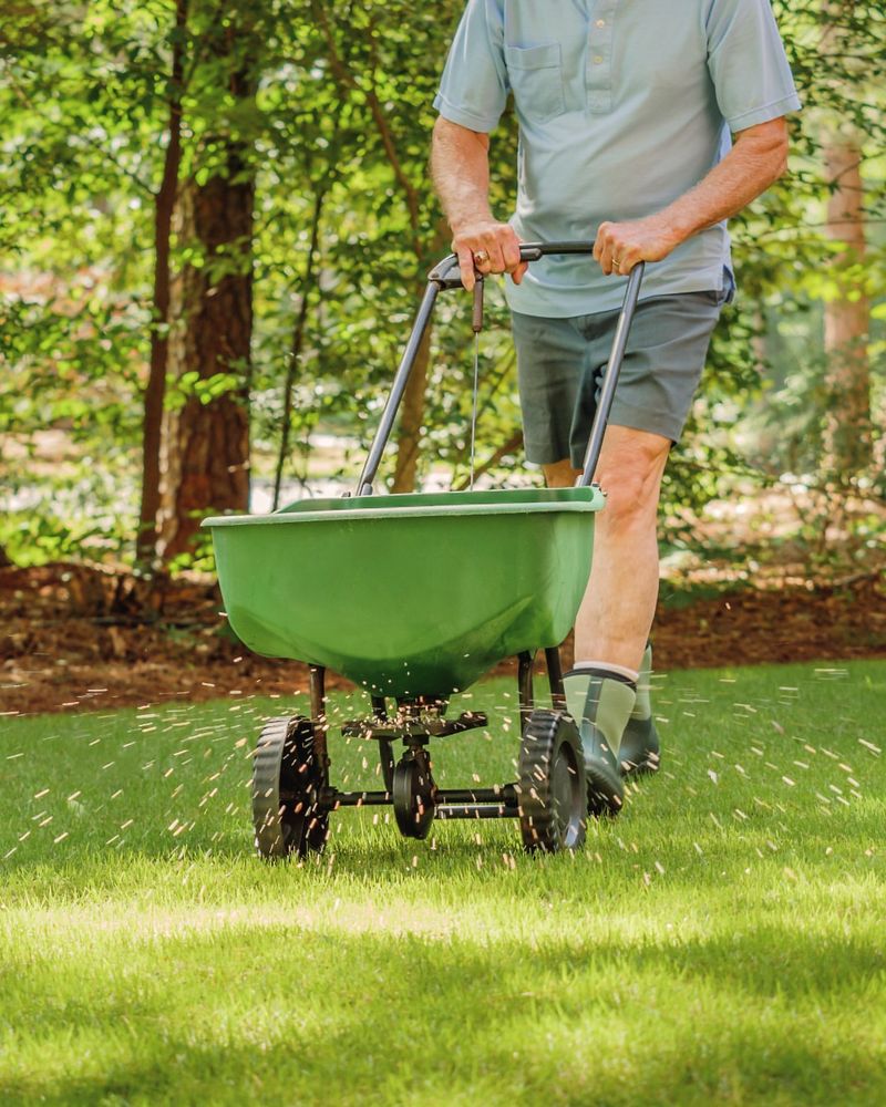 Fertilize Appropriately