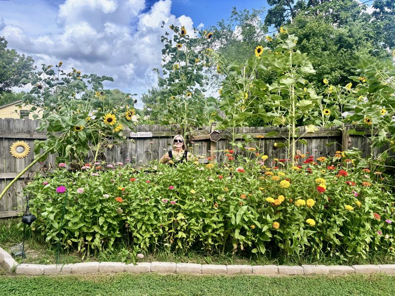 Stake Tall Varieties
