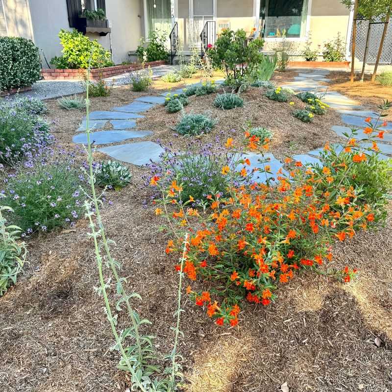 Limit Lawn Space