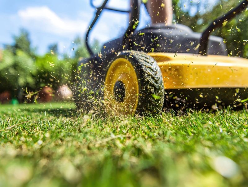 Mowing Instead Of Raking