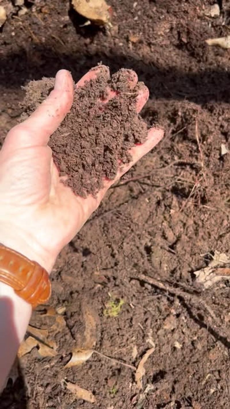 Community Garden Networking
