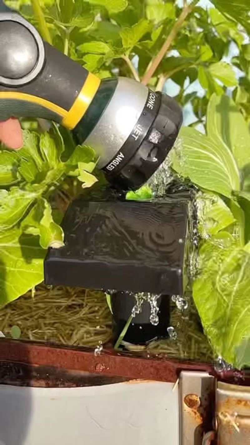 Salt-Free Options For Edible Gardens