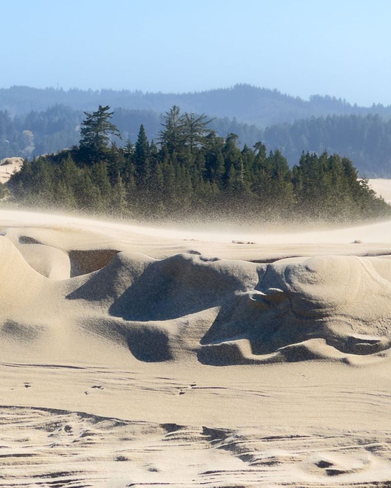 Coos Bay's Harbor And Forest Blend
