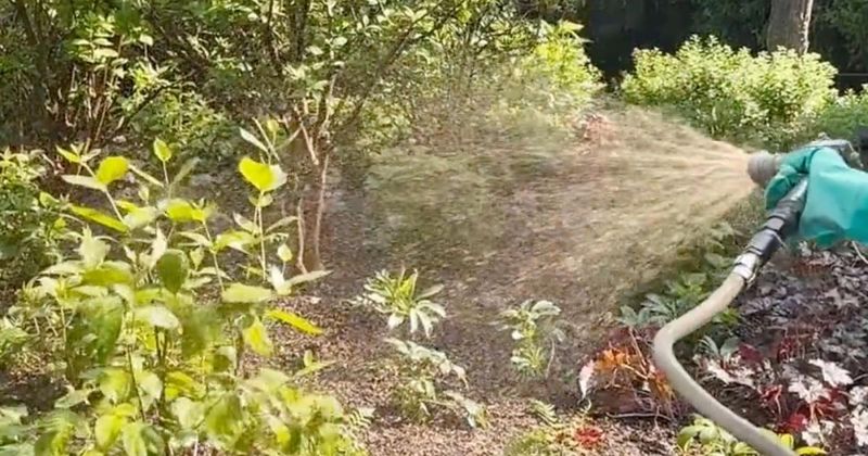 Incorporate Compost Tea Soaks