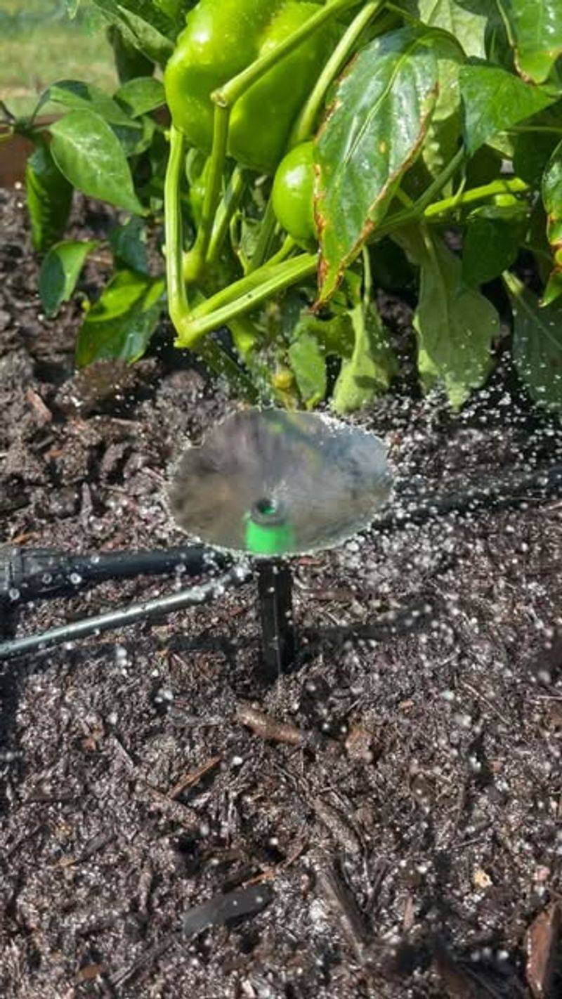 Install Micro-Irrigation System