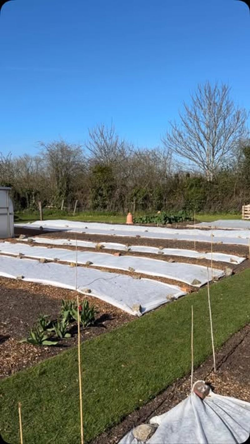 Cover Beds During Extreme Weather