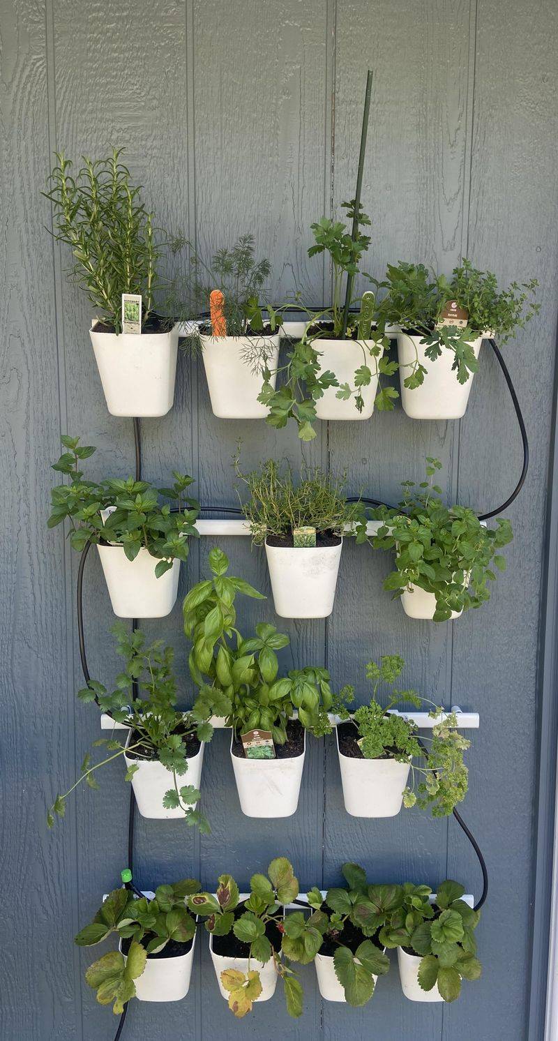 Vertical Herb Walls