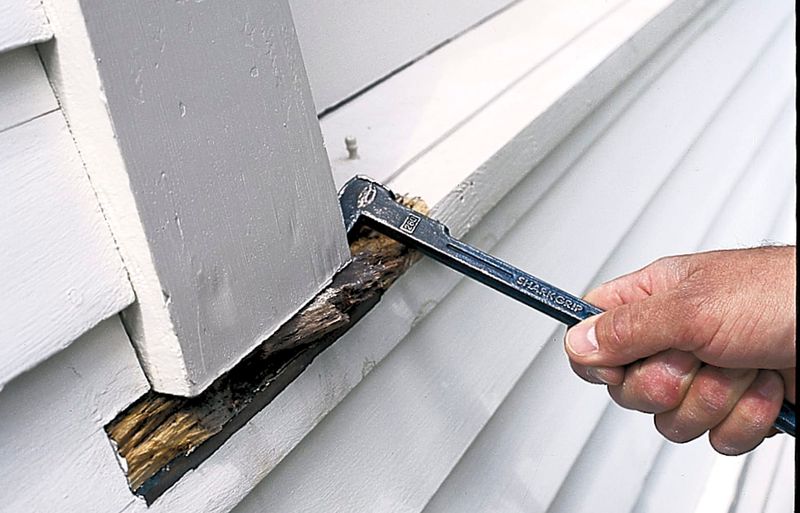 Replace Rotten Boards Before Damage Spreads