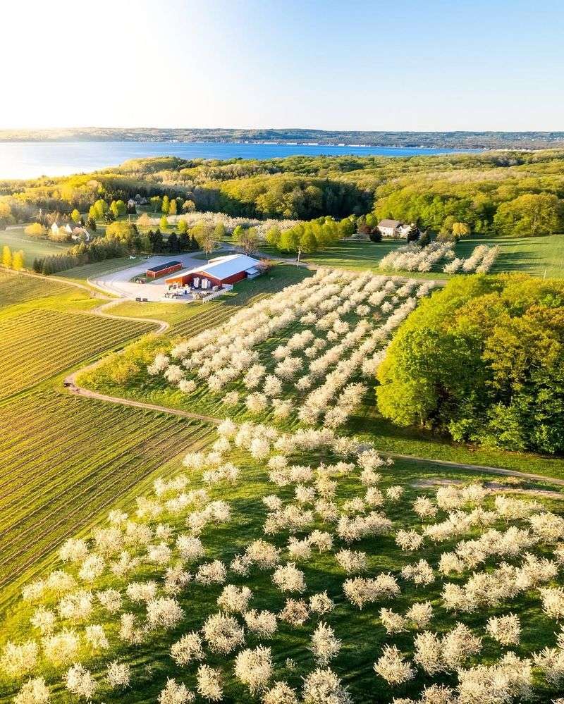 Traverse City