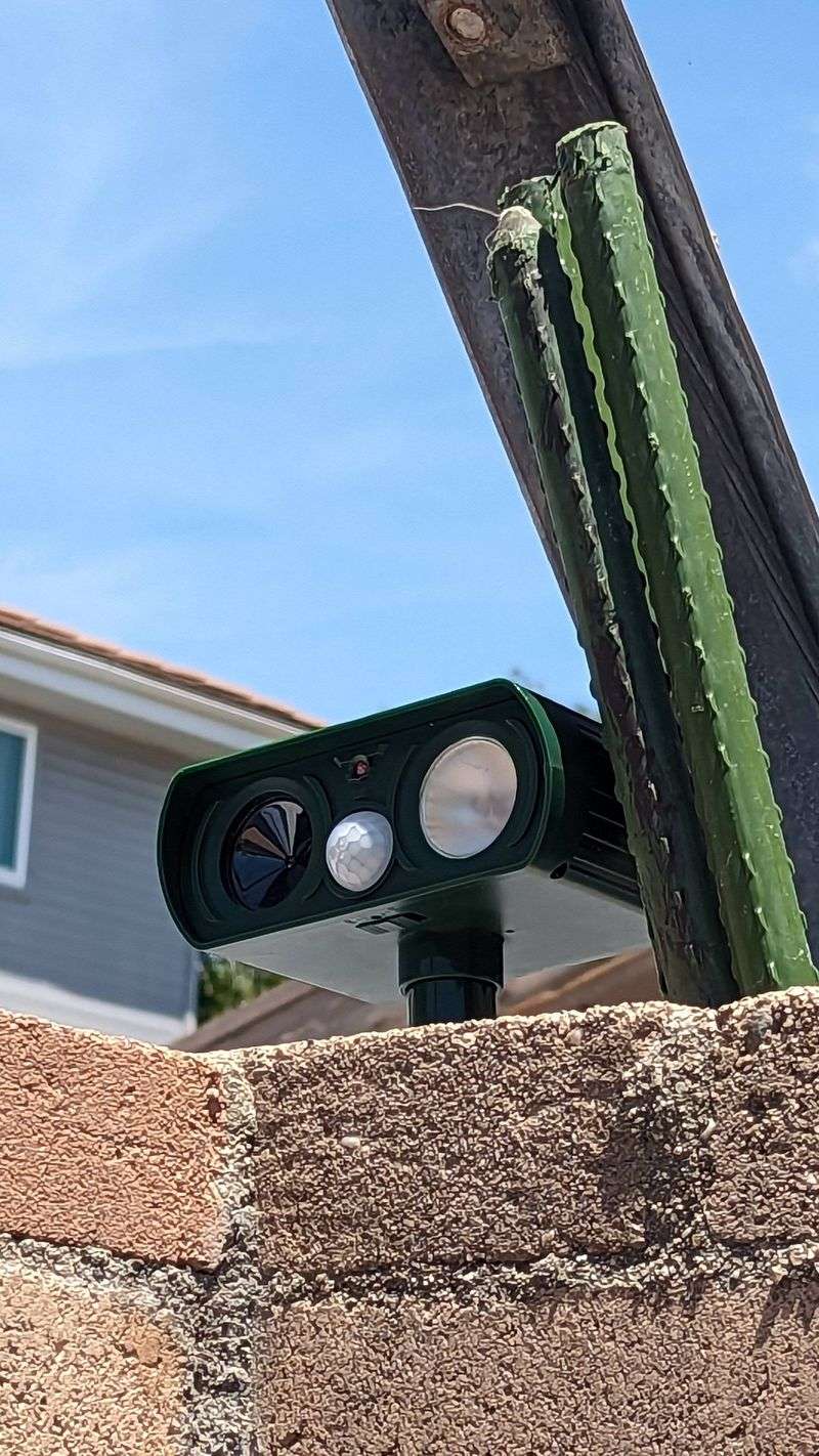Use Sound and Light Deterrents