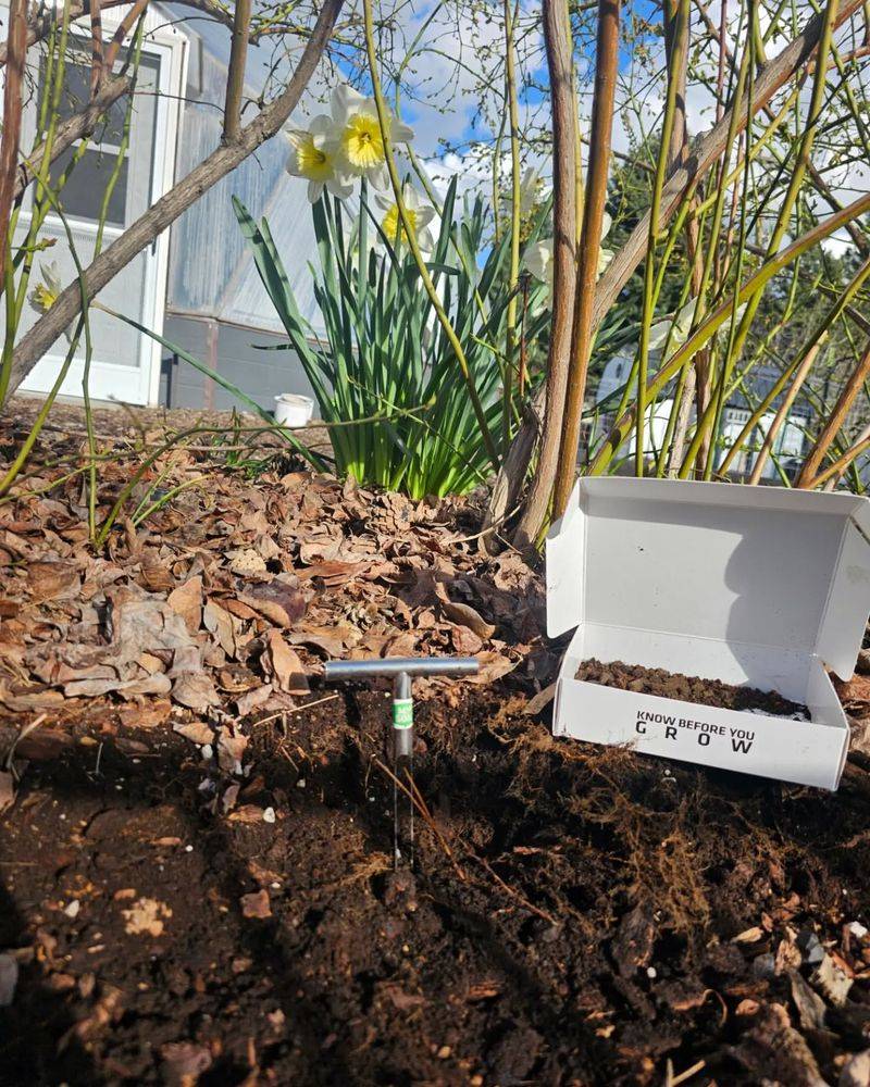Test Your Soil