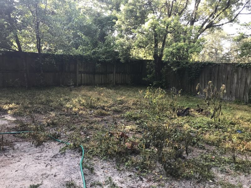 Clear Yard Debris