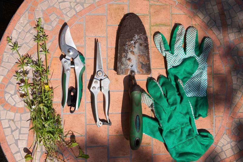 Sanitize Tools And Supports