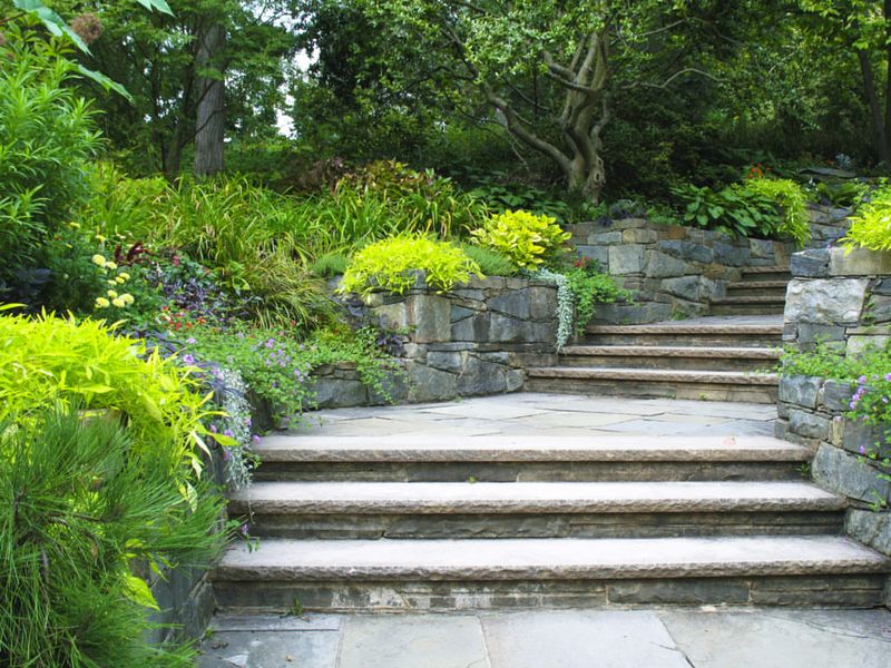 Choose Drought-Tolerant Plants
