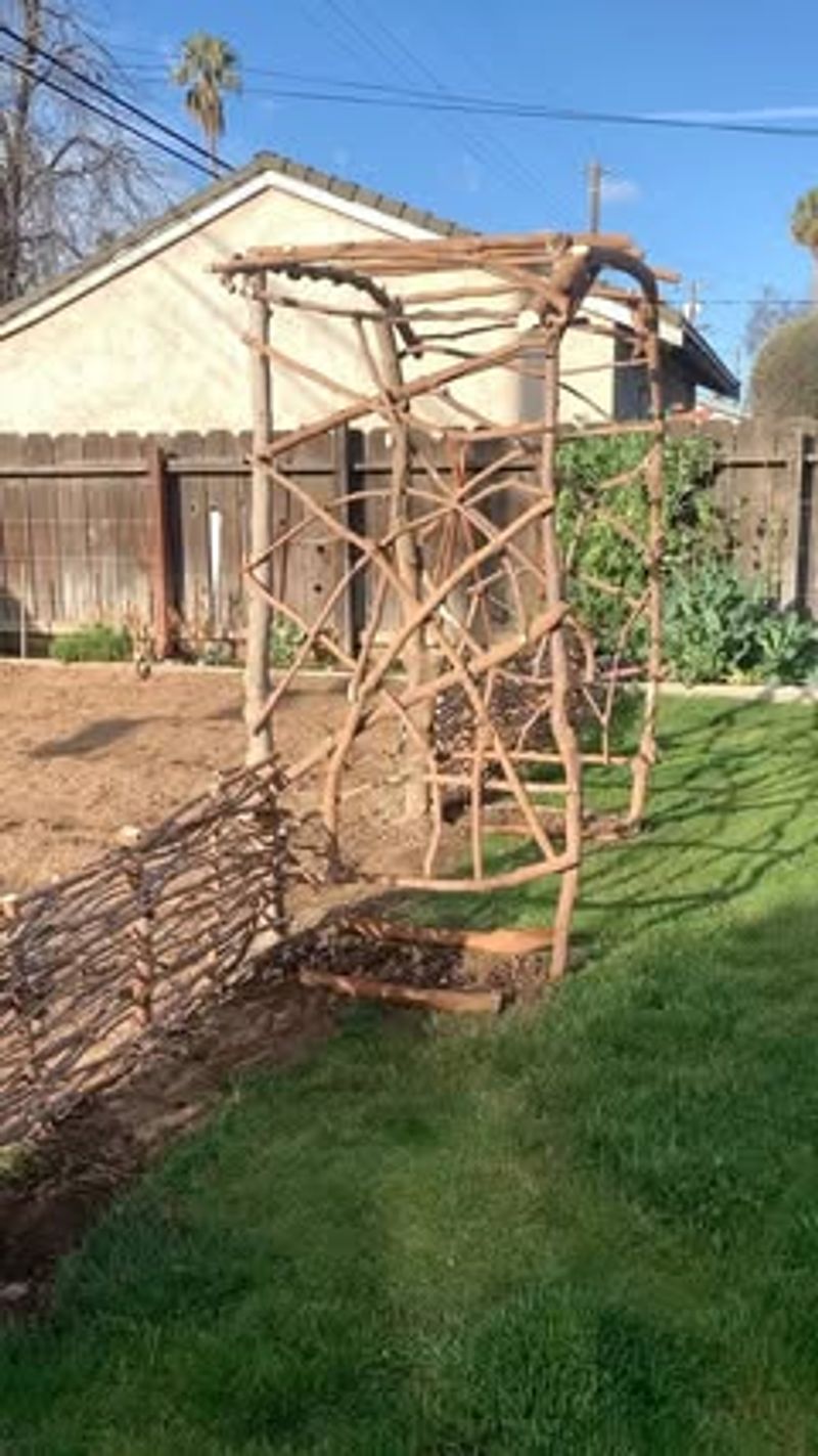 Fallen Branch Lattice