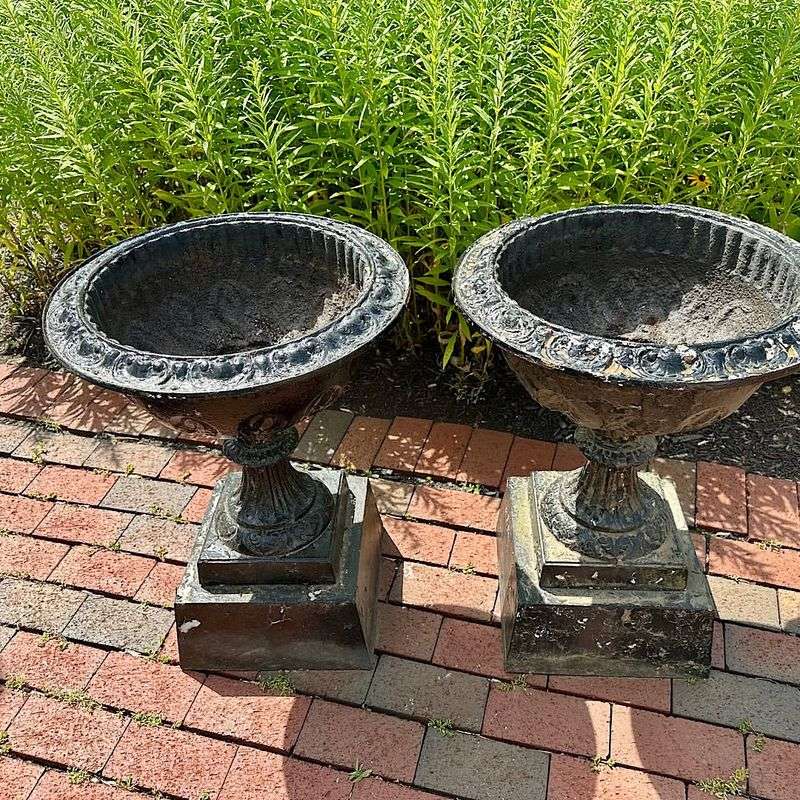 Cast Iron Urns With Purple Coneflowers