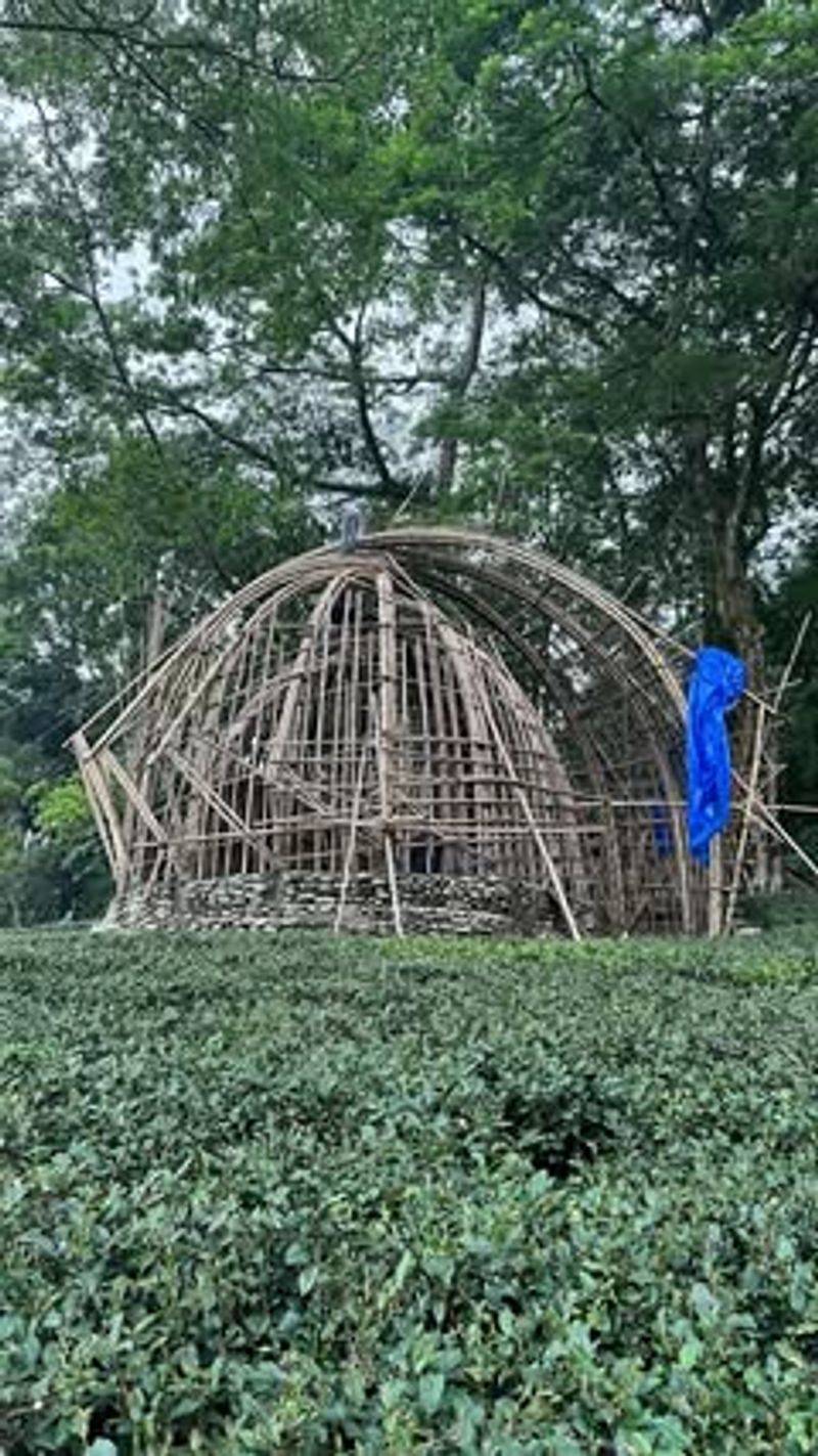 Woven Willow Dome
