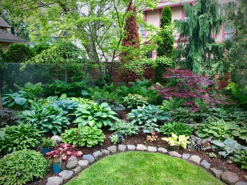 Buffalo's Garden Walk Neighborhoods
