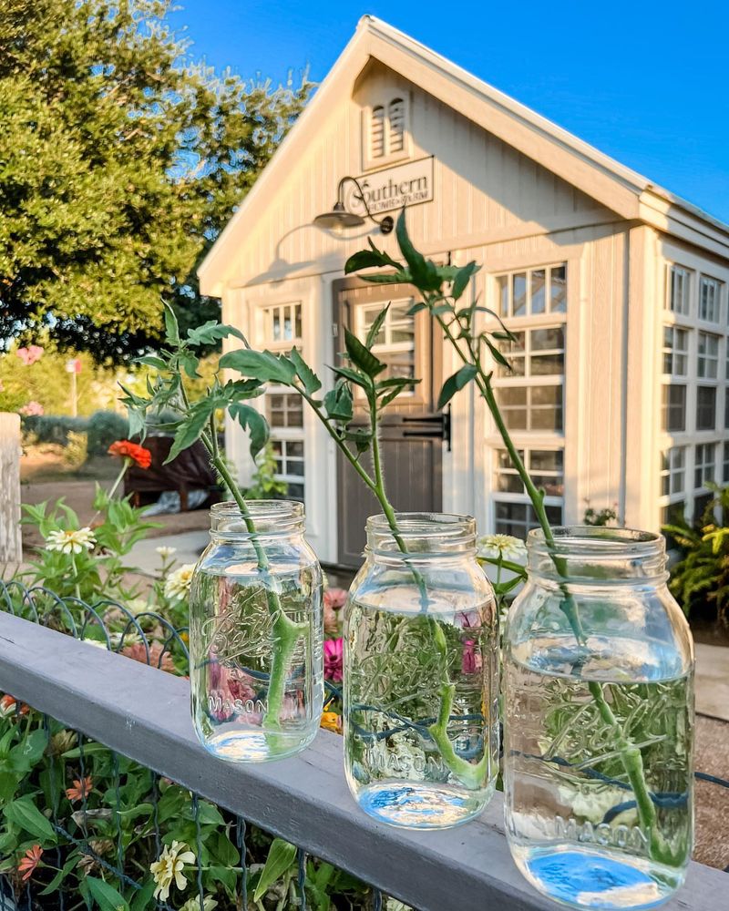 Start From Cuttings