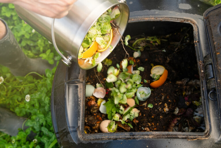 Compost (featured image)