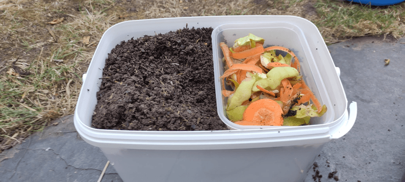 Start a Kitchen Scrap Compost Bin