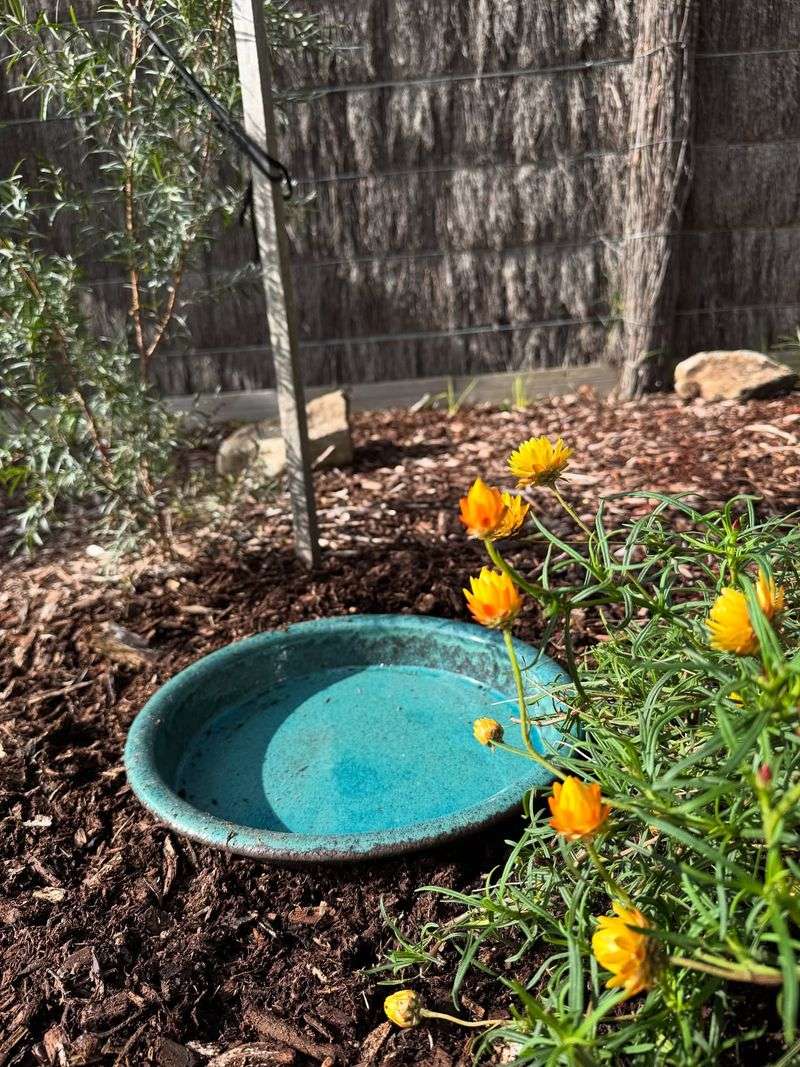 Insulated Water Bowl