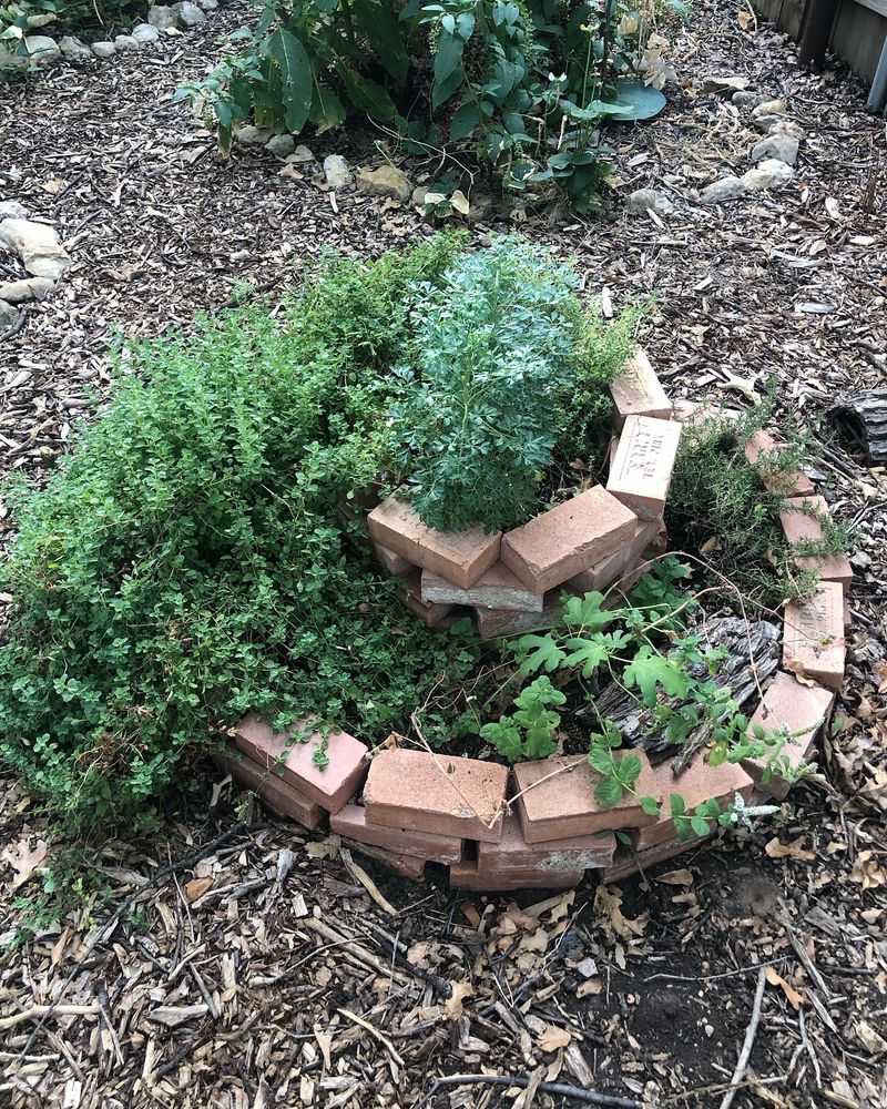 Spiral Herb Gardens