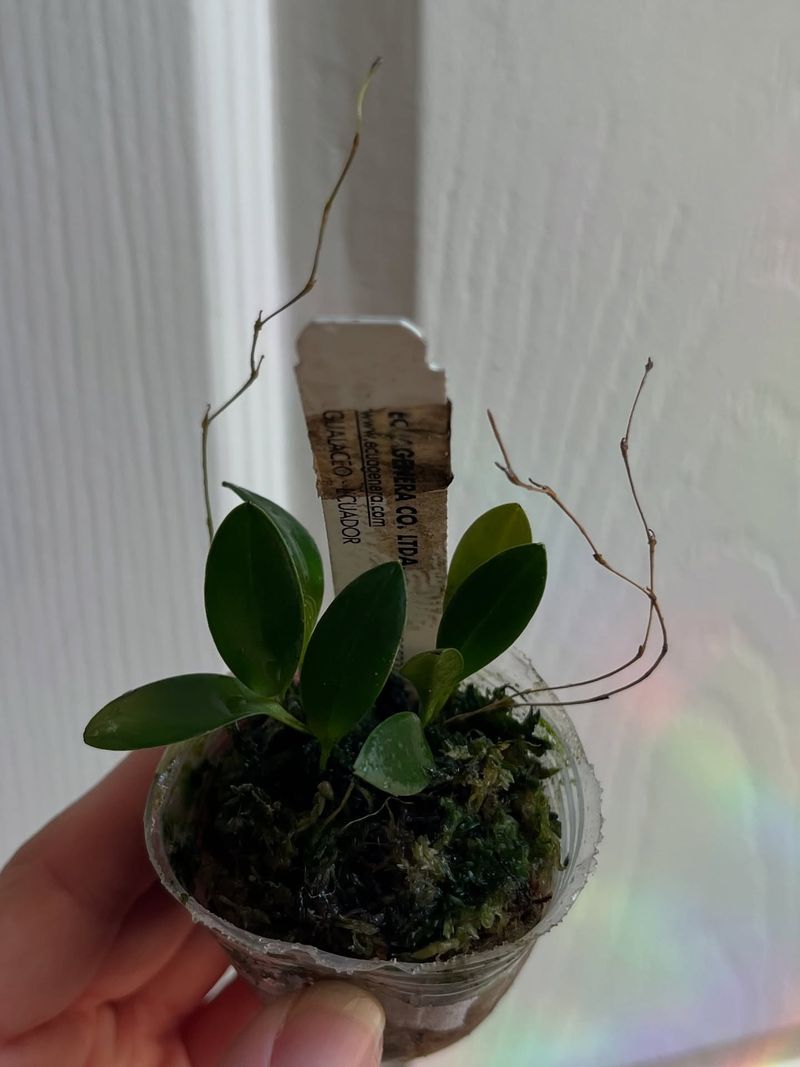 Humidity Imbalance