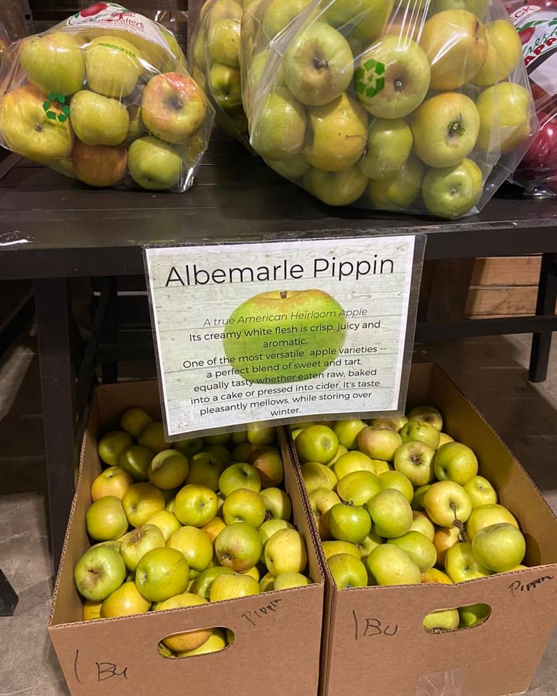 Apples Carrying Orchard Traditions Into The Market