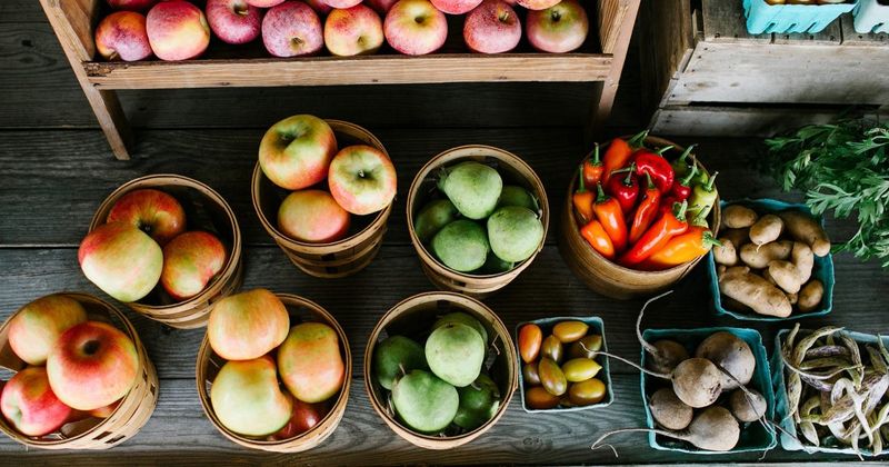Orchard Fruits Bringing Country Flavors To The City