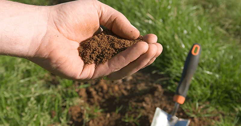 Soil PH Adjustment Timing