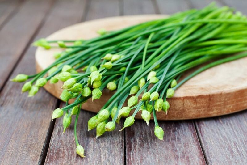 Chives