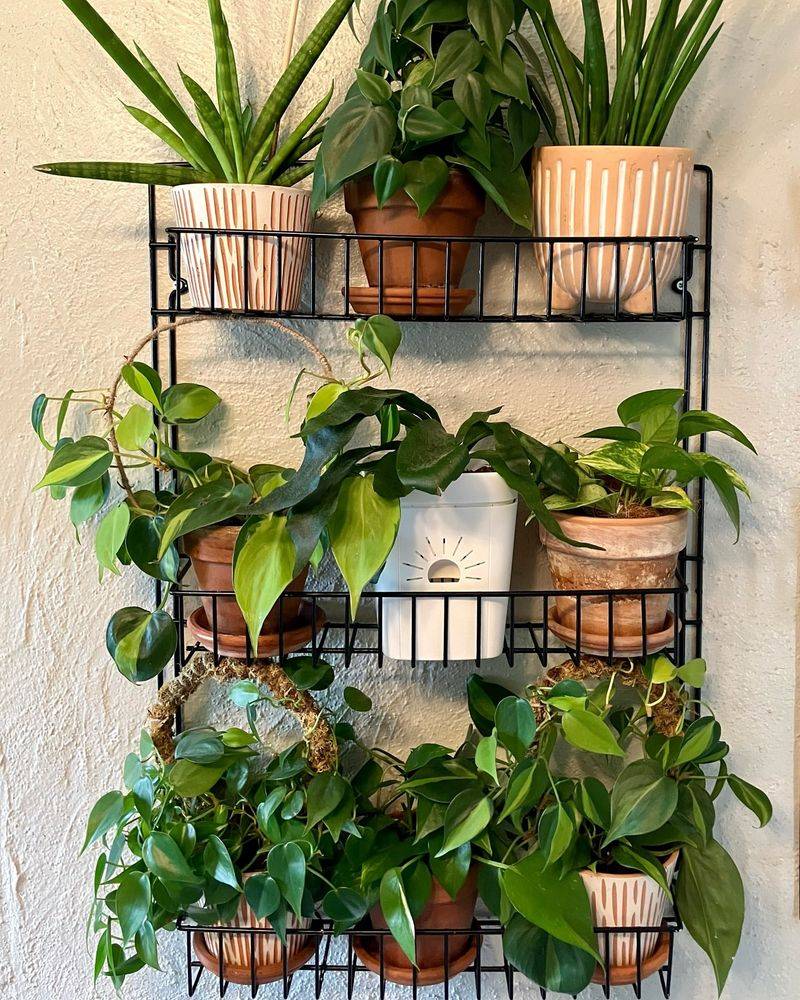 Create Microclimate Zones