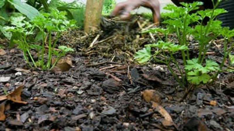 Strategic Mulching