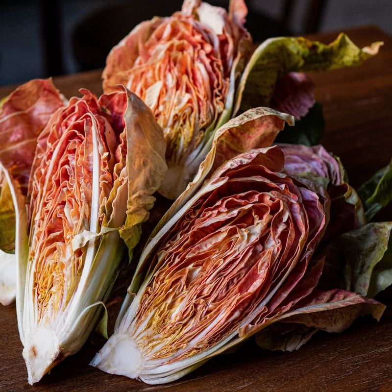 Radicchio
