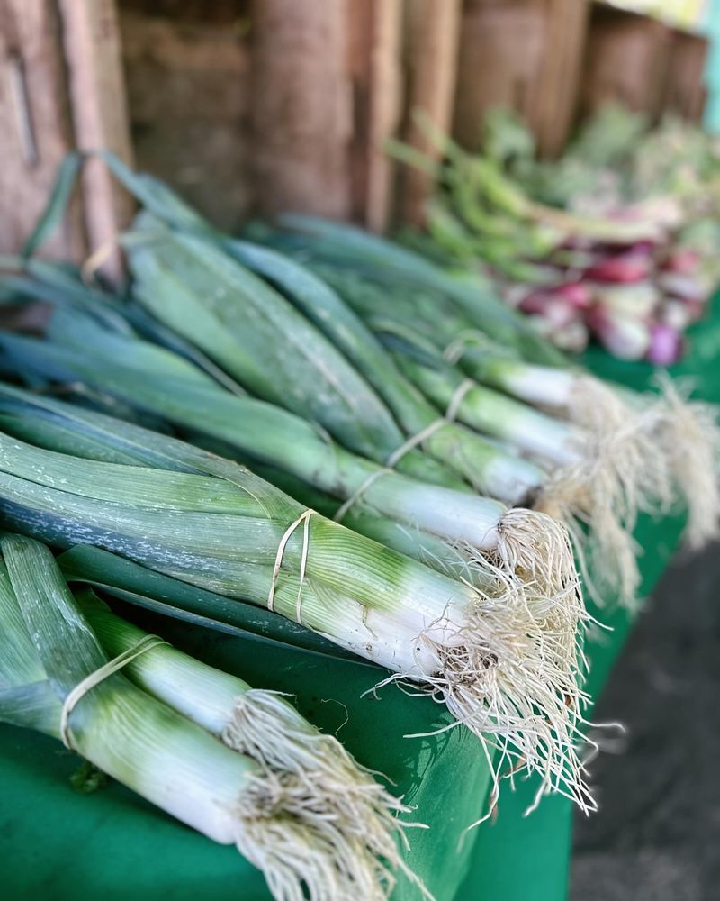Leeks