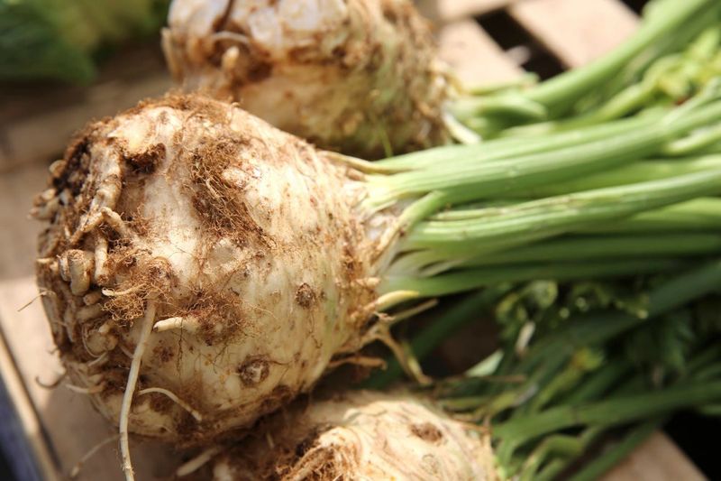 Celeriac