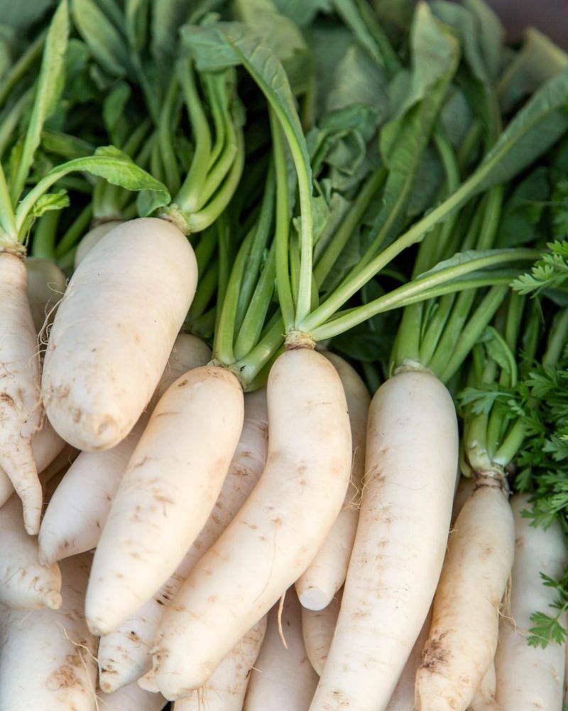 Turnips: Hardy Root Vegetables