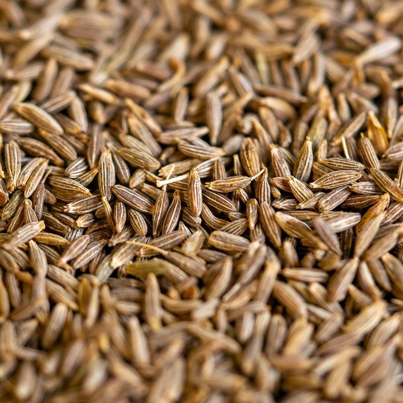 Cumin Seed Drainage Layer