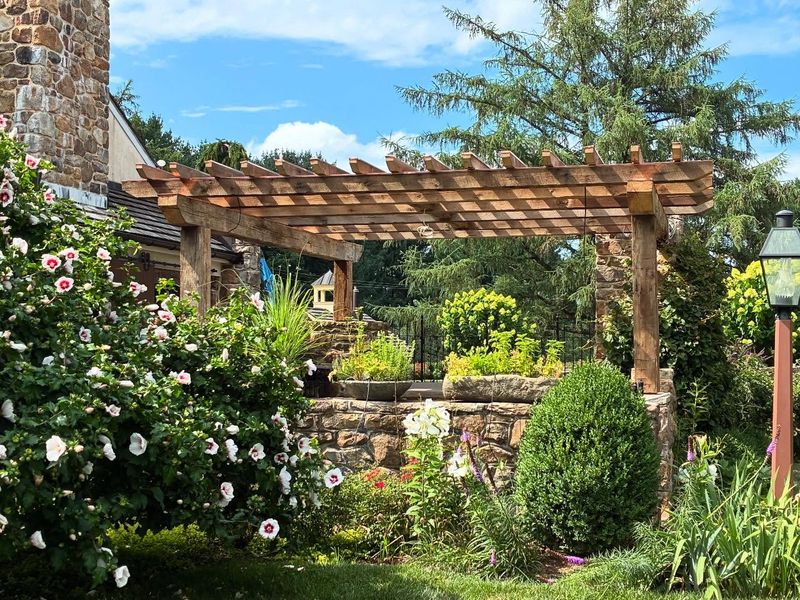 Reclaimed Timber Frames
