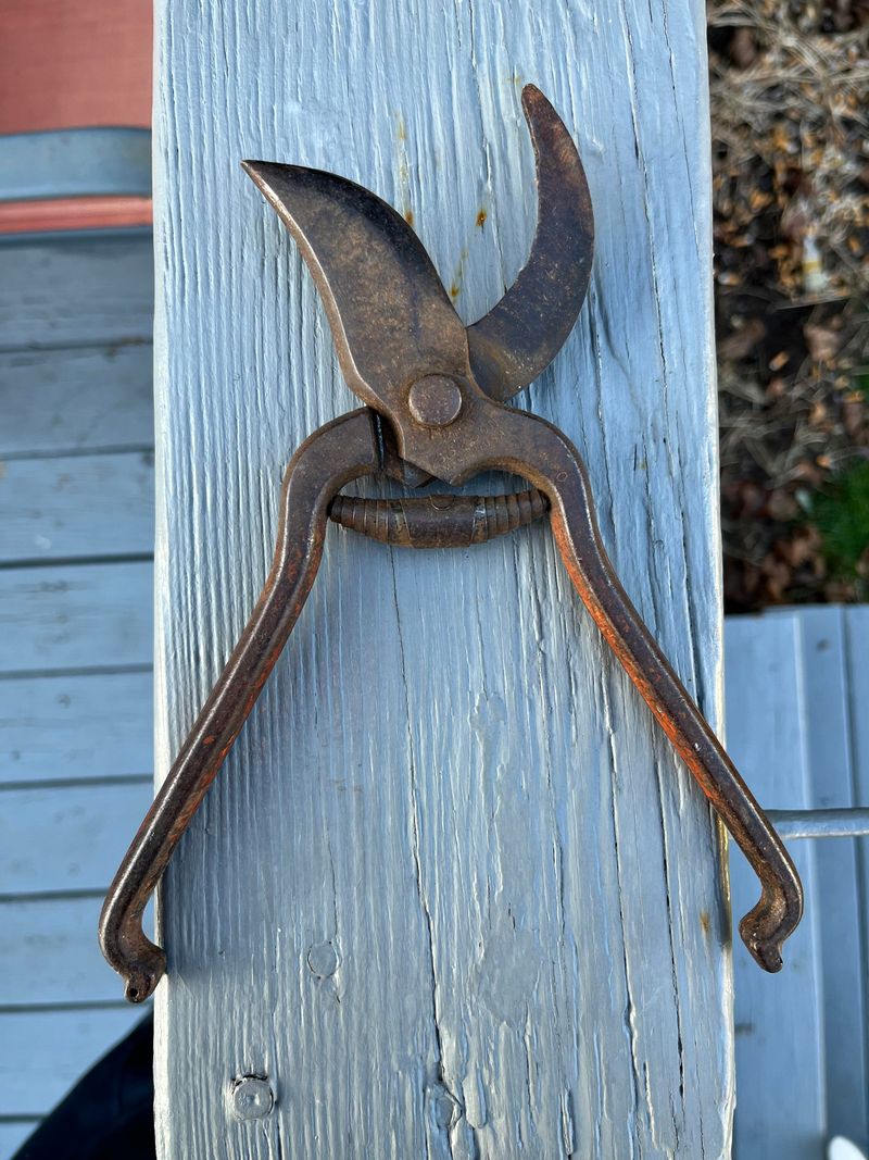 Hang Grandfather's Hand Shears As Decoration