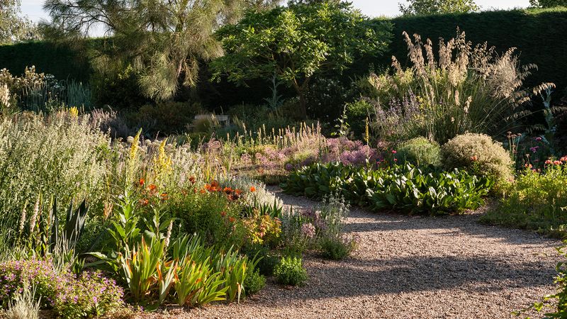 Mediterranean Garden: Sun-Drenched Coastal Flora