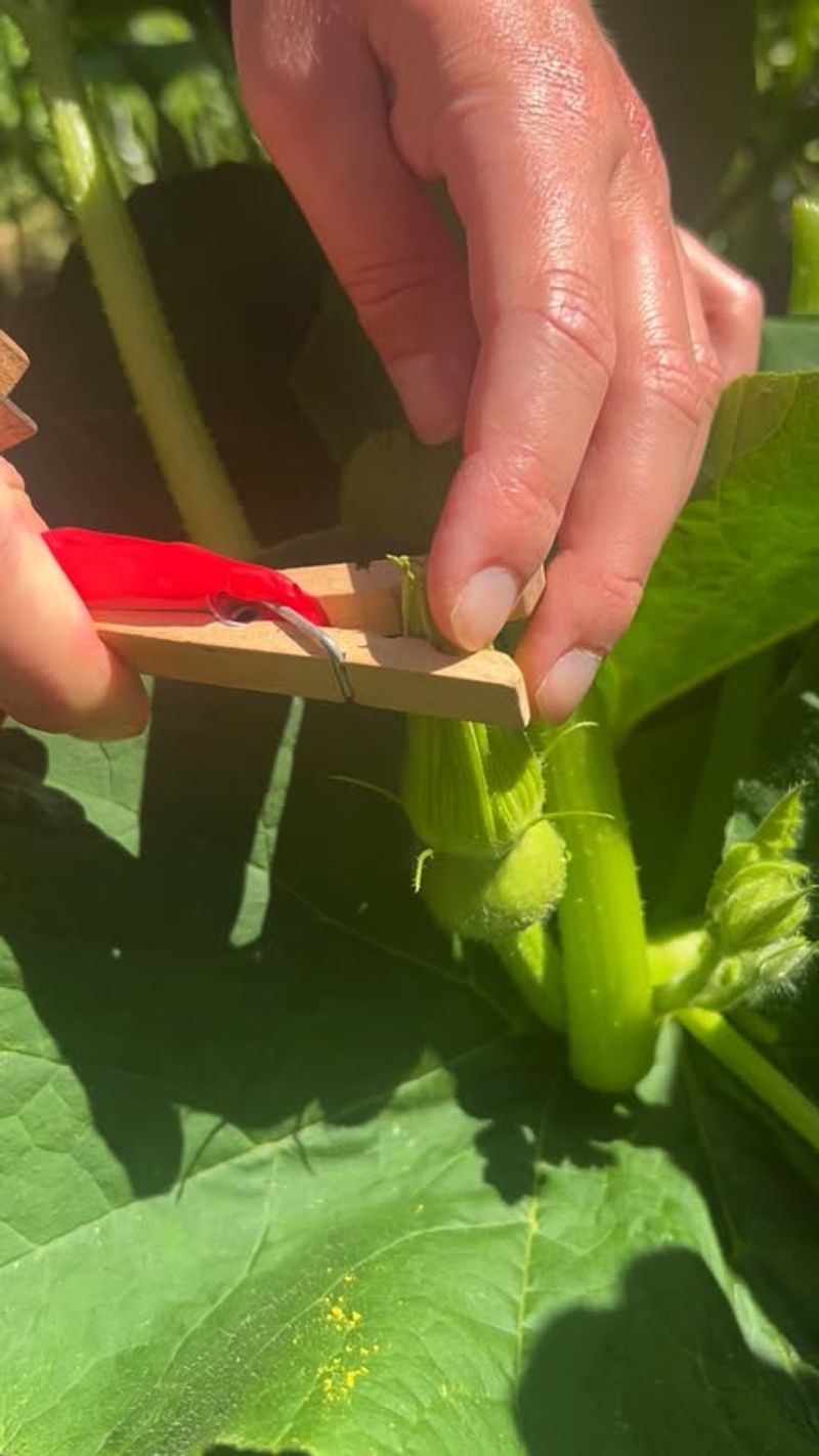 Preventing Cross-Pollination