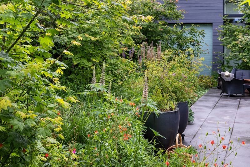 Creating Wildlife Habitats Naturally
