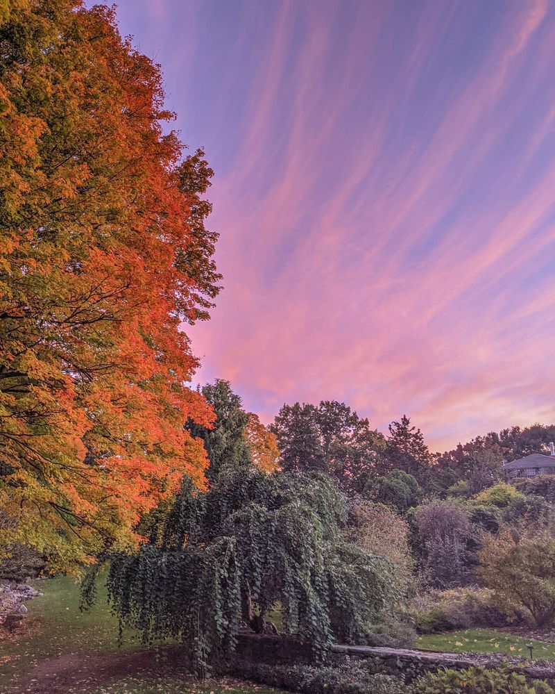 Explorer's Garden Showcases Plant-Hunting Expeditions