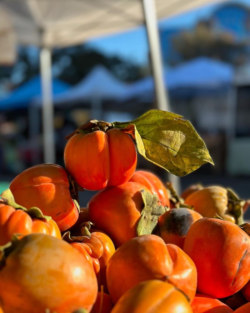 Persimmons