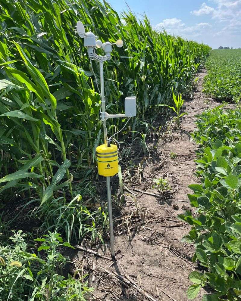 Soil Temperature Monitoring