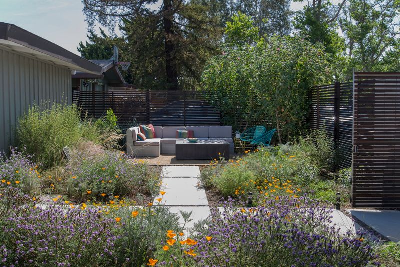 Combining Bee Baths With Native Utah Plants