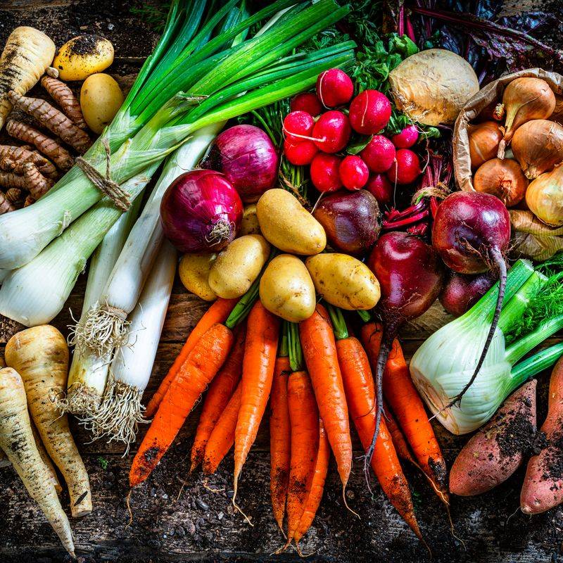 Edible Garden Corners With Market Flavors
