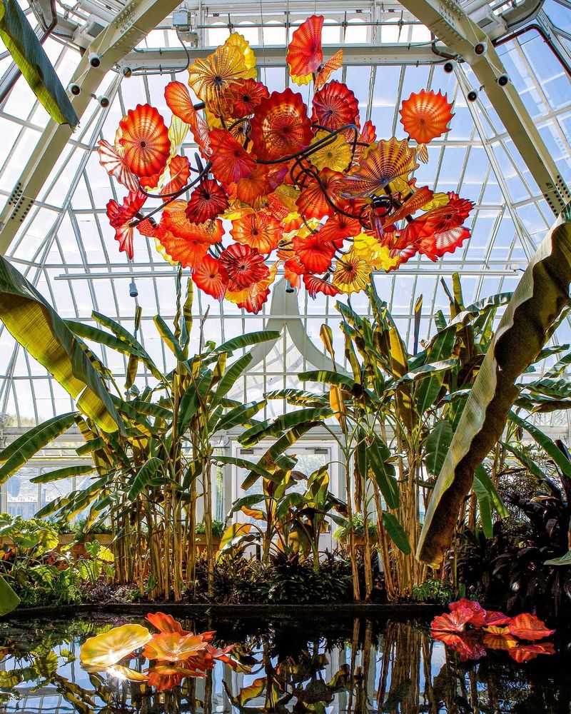 Dale Chihuly Glass Installations